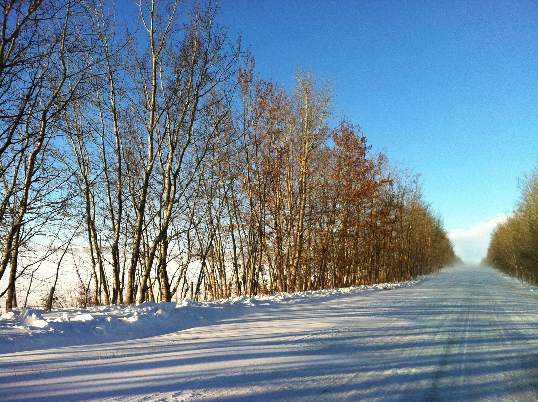 Winter Scenery & Nature Submission